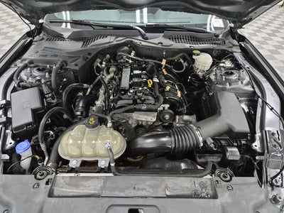 2023 Ford Mustang EcoBoost