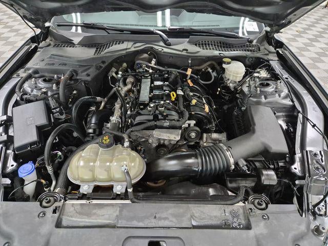 2023 Ford Mustang EcoBoost