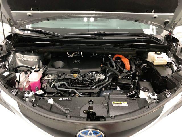 2023 Toyota Sienna XLE 7 Passenger