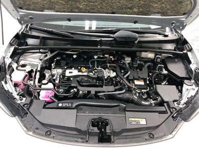 2024 Toyota Prius XLE