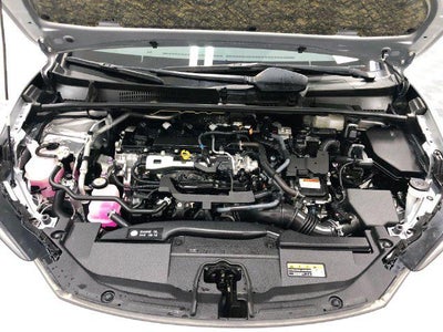 2024 Toyota Prius XLE