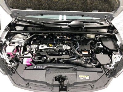 2024 Toyota Prius XLE