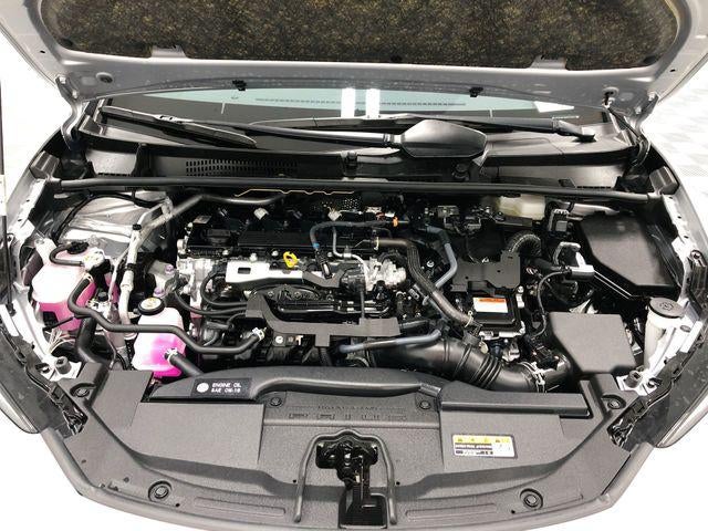 2024 Toyota Prius XLE