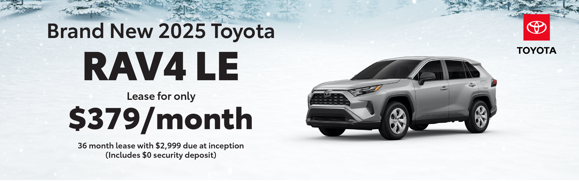 Brand New 2025 RAV4 LE